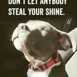 Meet your Posher, Shamar